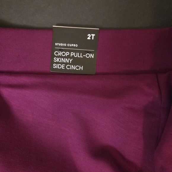Torrid Crop Pullon Skinny Studio Cupro Pants Size 2T - Picture 4 of 5